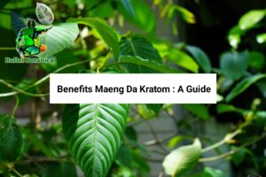 Maeng Da Kratom