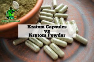 Kratom Capsules vs Powder