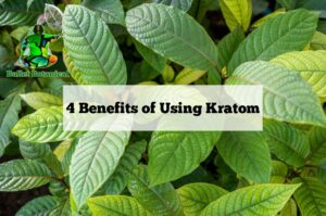 Kratom