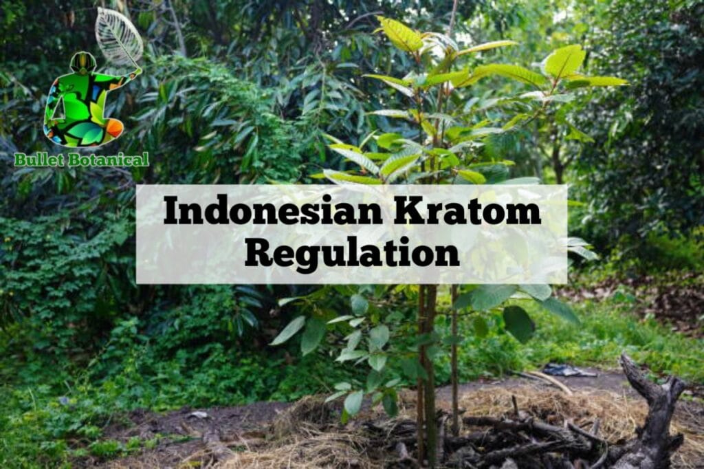 Indonesian Kratom Regulation