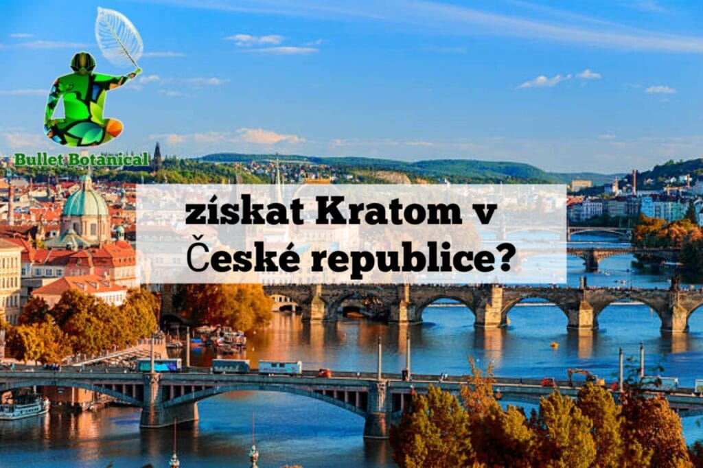 Jak najít Kratom v České republice