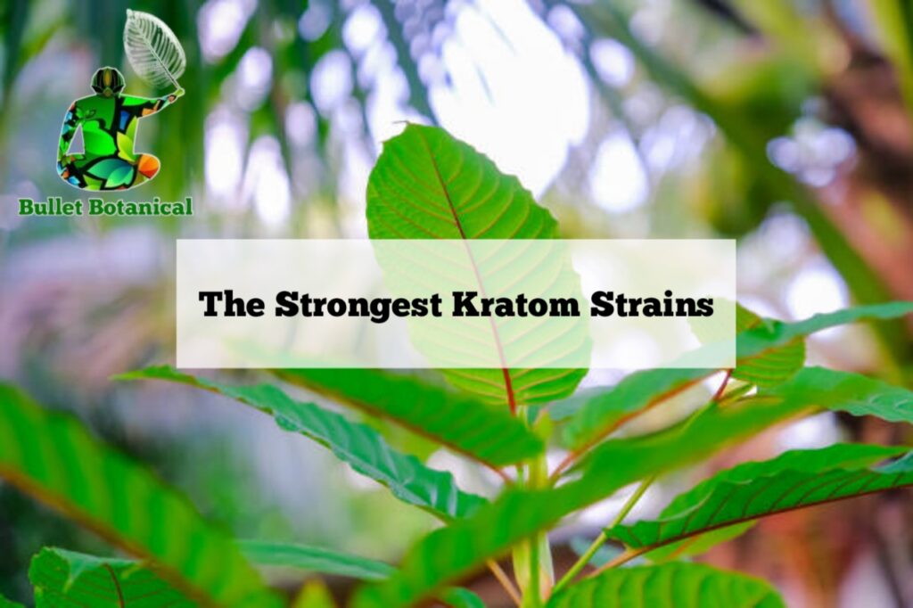 Strongest Kratom Strains