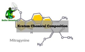 Home 16 Kratom Chemical Composition