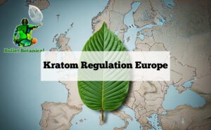 Kratom Regulation Europe