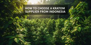 kratom supplier from indonesia