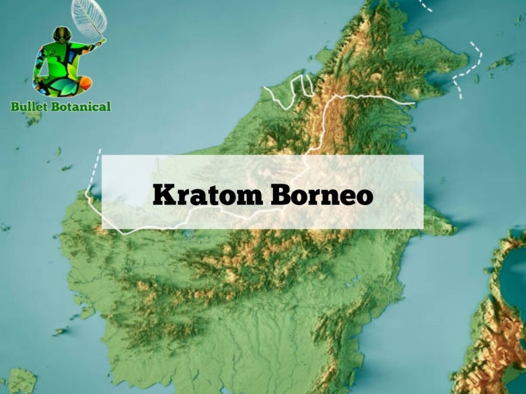 Kratom Borneo