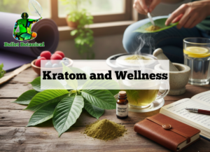 Home 15 Kratom and Wellness
